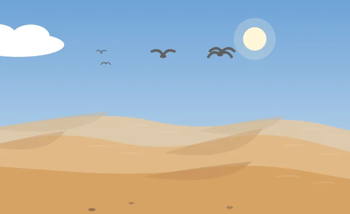 Desert in spring