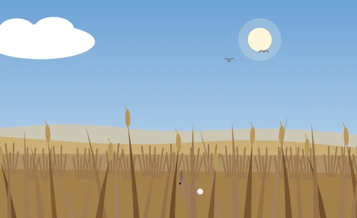 Grassland in autumn