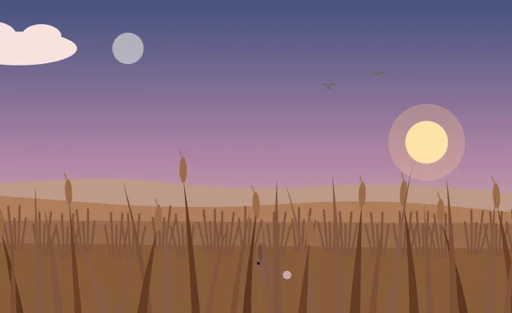 Grassland at dusk