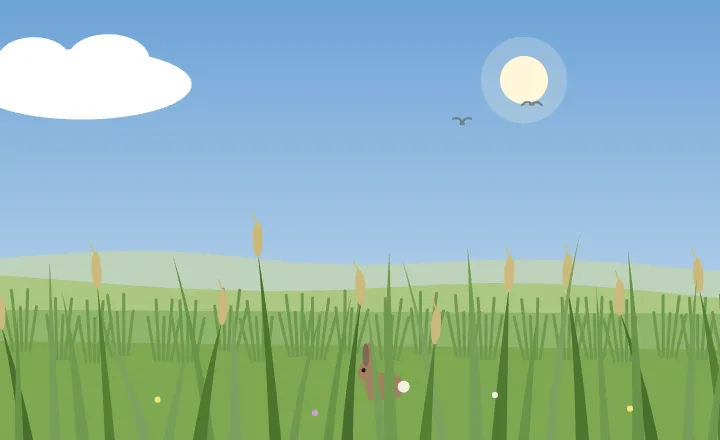 Grassland in spring