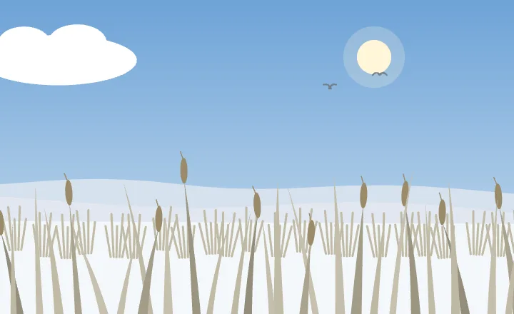 Grassland in winter