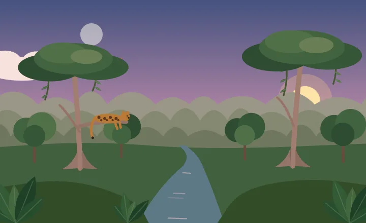 Jungle at dusk